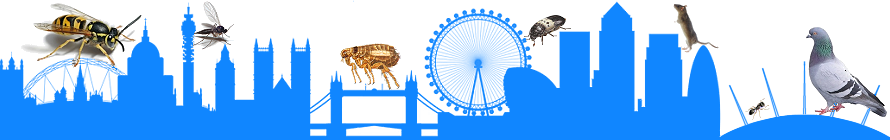 Pest Control London