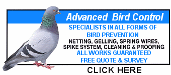 Advanced Bird Control